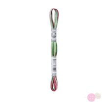 DMC Mouline Coloris 4520