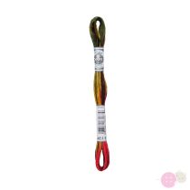 DMC Mouliné Coloris 4511
