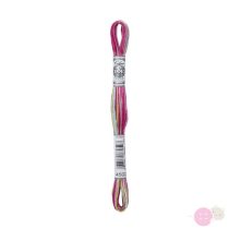 DMC Mouline Coloris 4502