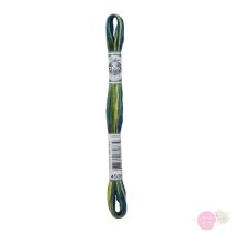DMC Mouline Coloris 4506