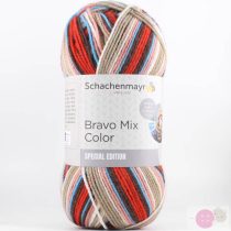 Schachenmayr Bravo Mix Color - 