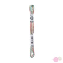 DMC Mouline Coloris 4501