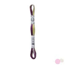 DMC Mouline Coloris 4503
