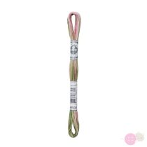 DMC Mouline Coloris 4500